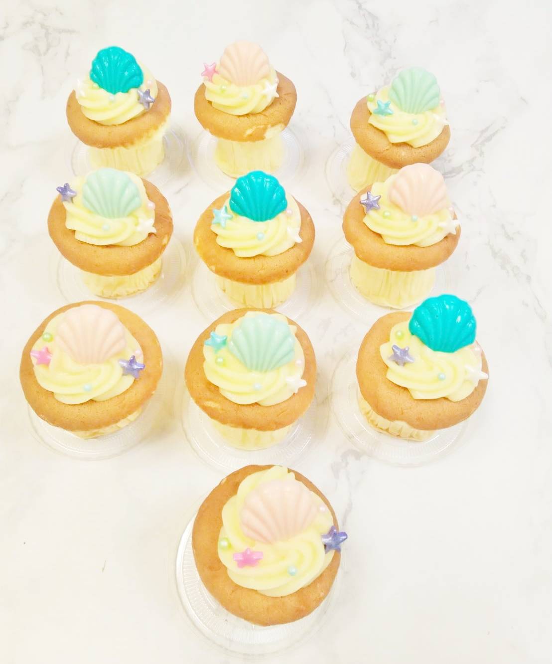 客製化杯子蛋糕-海洋貝殼