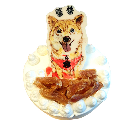 手繪寵物蛋糕